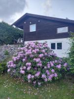 Apartment Strömstad, Lökholmen - B&B