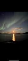 Cabin in scenic surroundings in Senja - Bed and Breakfast Nedre Langnes