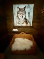 Maison design et luxe à Villard-de-Lans, 10 personnes - B&B Villard-de-Lans