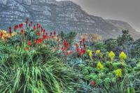Kairos Lodge - B&B