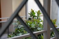 Apartamento Flavia I Espalter - B&B Sitges