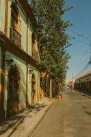 Hotel Halley - Vicuña, Valle de Elqui - B&B Vicuña