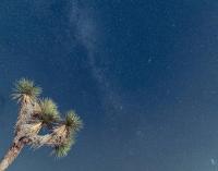 Cholla Hills Home | Stunning 360° Views | Near JT - B&B Yucca Valley