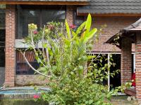 Lentera Lombok - B&B Tetebatu