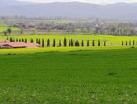 B&B Le Cementine - B&B Greccio