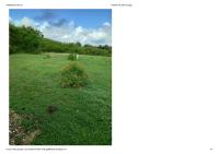 bungalow - B&B Le Moule