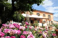 B&B Piedimonte San Germano - B&B Casale Shanti - Bed and Breakfast Piedimonte San Germano