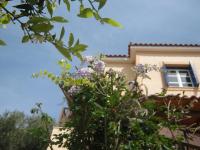 Panorama Apartments - Bed and Breakfast