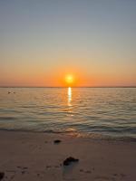 Nyanora Escape - B&B Flic en Flac