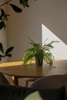 Two-Bedroom Apartment with View