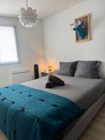 Appartement cosy face à la basilique Saint Remi - B&B Reims