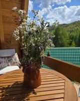 White Forest Durmitor 2 - B&B Zabljak