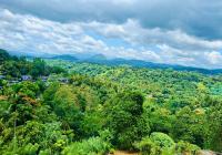 Sunset Inn - B&B Kandy