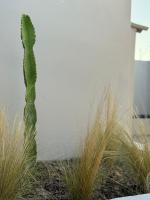 Theros Residence - Ferienwohnung Stavros