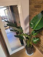 Accommodation Portland Victoria - B&B Portland