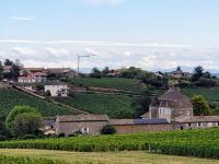 Appartement au cœur des vignes - B&B Chaintré