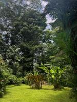 Los Delfines Lodge - B&B Puerto Viejo