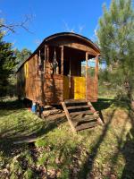 Gîte familial en pleine nature- Domaine Temali - B&B Labouheyre