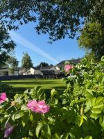 Downtown Leknes - Eventyr i Lofoten - Gratis Parkering - Flyplass 5 min - B&B Leknes