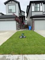 Super house - Ferienwohnung Calgary