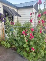 Finally Home Guesthouse - B&B Burns