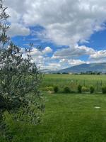 PalmHouse Cristian - Chambres d’hôtes Cannara