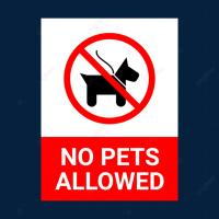 Apartamentos Casa Blanca - B&B Torremolinos