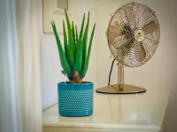 La Petite Maison - Ferienwohnung Marseillan