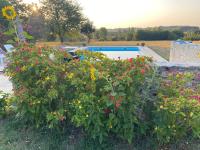 Petit Rousset Gite Cerise - B&B Eymet