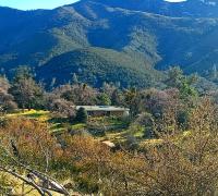 Secluded Oasis with View, and hot tub on 50 acres - B&B Bodfish