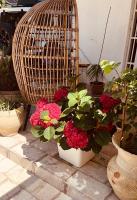Tweety's Loft - B&B Quartu Sant'Elena