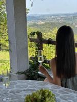 Karol-ina Estate - Chambres d'hôtes Branik