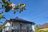 Get close to the Nature and Reset Your Mind - Bed and Breakfast Carnikava