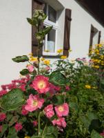 Leśniczówka Wysokie Kaczki - Bed and Breakfast Kaczkowo