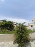 Sacred Arunachala Homestay & Rooms - B&B Tiruvannamalai