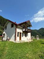 Pink House Karpaty - Ferienwohnung Kryvorivnia