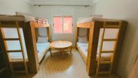 Single Bed in Mixed Dormitory Room