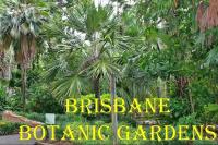 Park Avenue Luxe Chic Townhouse Sleeps 9, Carpark - B&B Brisbane