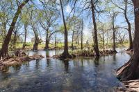 River Access + Shared Heated Pool Prime Location - B&B New Braunfels