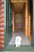 Family lux Apartments - B&B