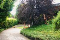 Beija-Flor b&b - B&B