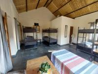 Bed in 6-Bed Dormitory Room