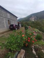 Natas Saxli - B&B Kvemo Zhoshkha