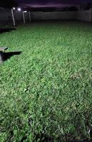 Los tios Marulos - Chambres d’hôtes Miramar