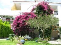Fotini's Studios 1 - Bed and Breakfast Toróni
