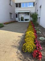 Wohnen auf Zeit in Mainz, große, helle Wohnung, Uni Nah - B&B Magonza