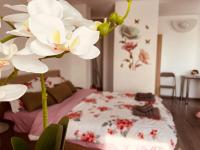 Julia Apartament - B&B Zalău