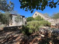 Romantic stone house and yard near stunning beach - Bed and Breakfast Veliki Drvenik