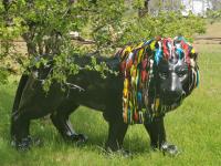 Coeur de bull' - B&B Cahuzac-sur-Vère