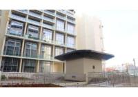 Dainty Oasis 1BR - Bright & Airy Interiors - B&B Abu Dhabi Island and Internal Islands City